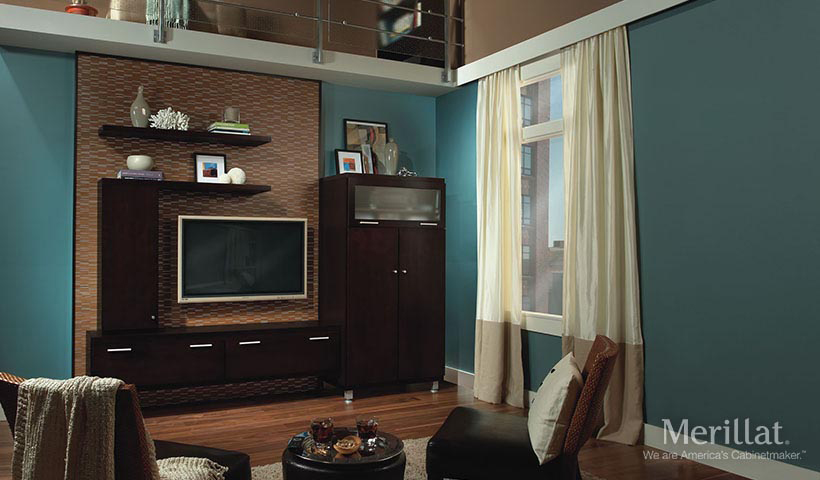 Basement Merillat Cabinets Sandy Utah Lloyd's Remodeling & Cabinetry